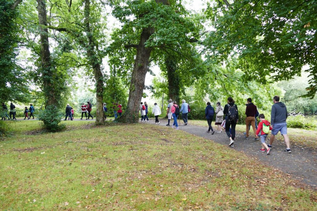 Groupe de randonneurs sur les chemins ombragés de Noyal-Châtillon-sur-Seiche