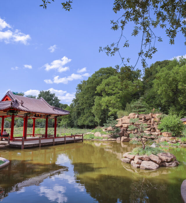 parc-de-maurepas-jardin-chinois-visite
