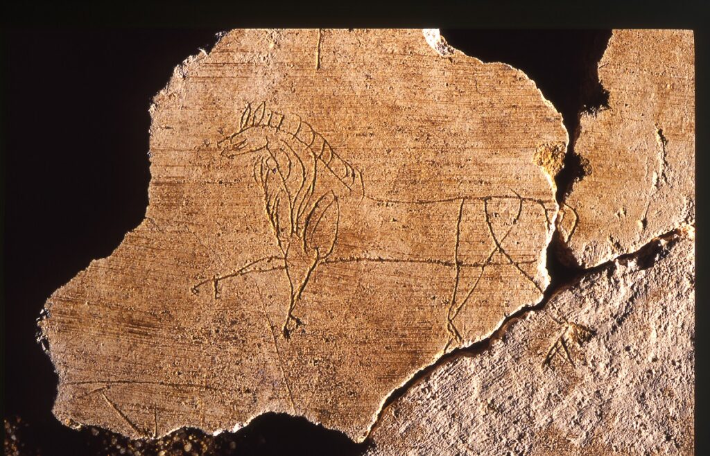 Visite archéologique Rennes