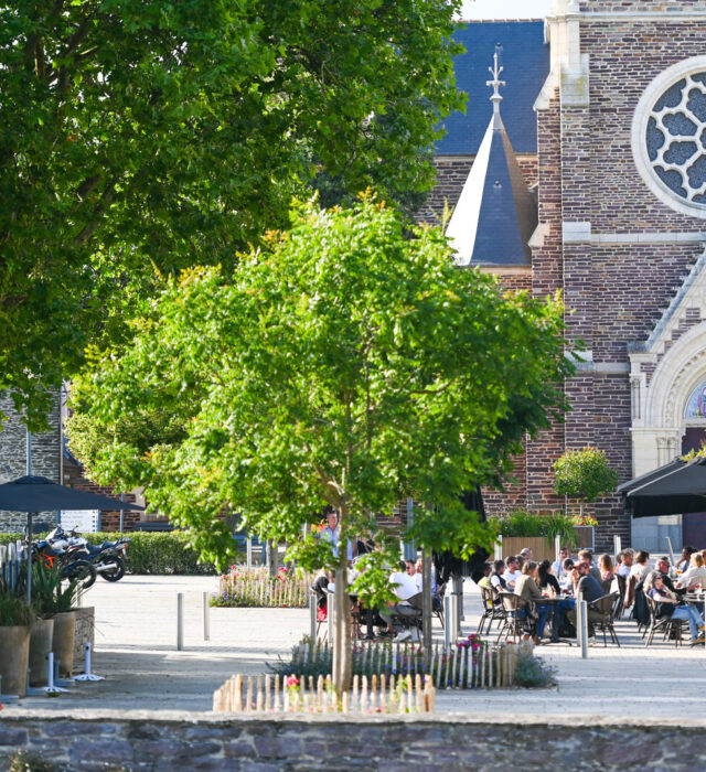 Visite coeur de Cesson