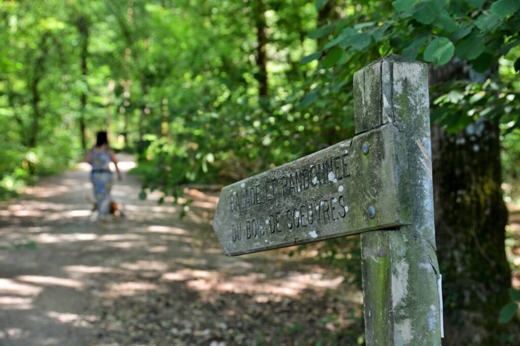 Panneau indicateur debalade dans le Bois de Soeuvres