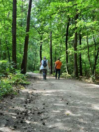 Promenade dans le Bois de Sœuvres à Vern-sur-Seiche