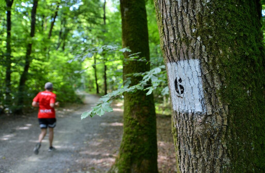 Un runner passe dans le Bois de Sœuvres avec au premier plan un arbre recouvert de mousse.