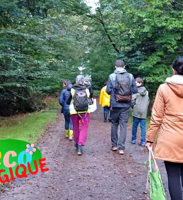 0746c3ba93637ed37aa5951b4758c95cc03dafd7-31315