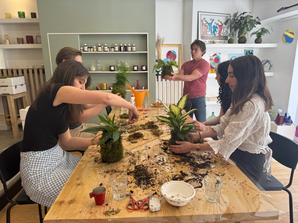 atelier-kokedama-plante-rennes-31461