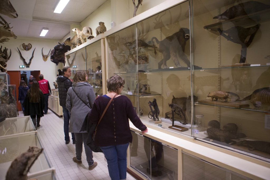 Visiteurs découvrent les collections scientifiques de l'Université de Rennes