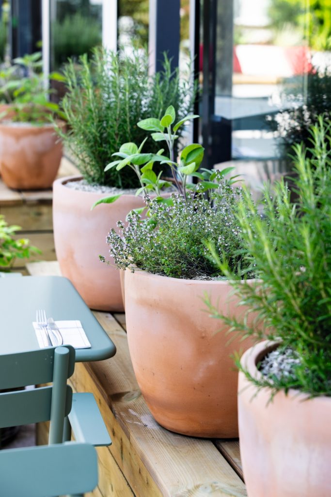 Terrasse de La Serre, restaurant à Rennes