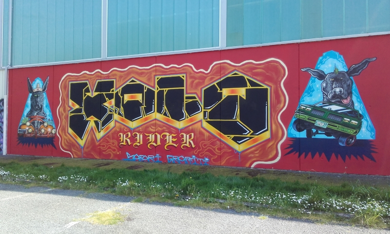 safari-graffiti-rennes-xolo-denz
