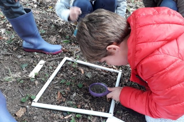 visuel-biodiversite-petits-deb-32069