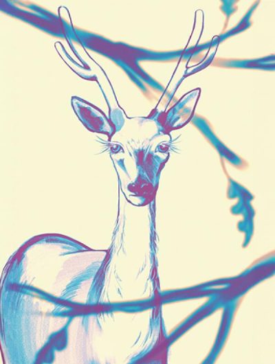 cerf-droite-1-33030