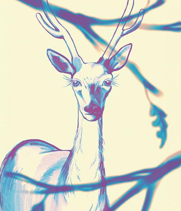 cerf-droite-1-33030