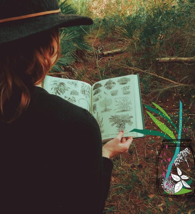 Balade contée les plantes des sorcières au Thabor
